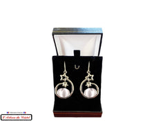 Load image into Gallery viewer, Maison Klein Stainless Steel & Crystal Ladies Earrings Set : Red Shooting Star