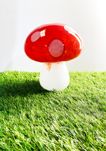 Charger l'image dans la galerie, Champignon cristal