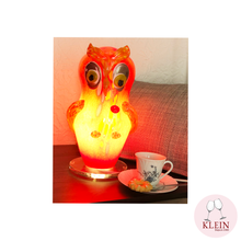 Load image into Gallery viewer, Crystal Enamel Lamp "Bernie"