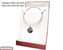 Charger l'image dans la galerie, Coffret Luxe Collier Femme "Bijoux Créateur" Acier Inoxydable et Cristal Maison Klein : Butterfly Rouge