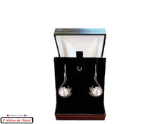 Charger l&#39;image dans la galerie, Coffret Luxe Boucles d&#39;Oreille Femme &quot;Bijoux Créateur&quot; Acier Inoxydable et Cristal Maison Klein : Colombe
