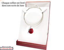 Load image into Gallery viewer, Klein Designer Stainless Steel and Crystal Necklace for Women : Capture
