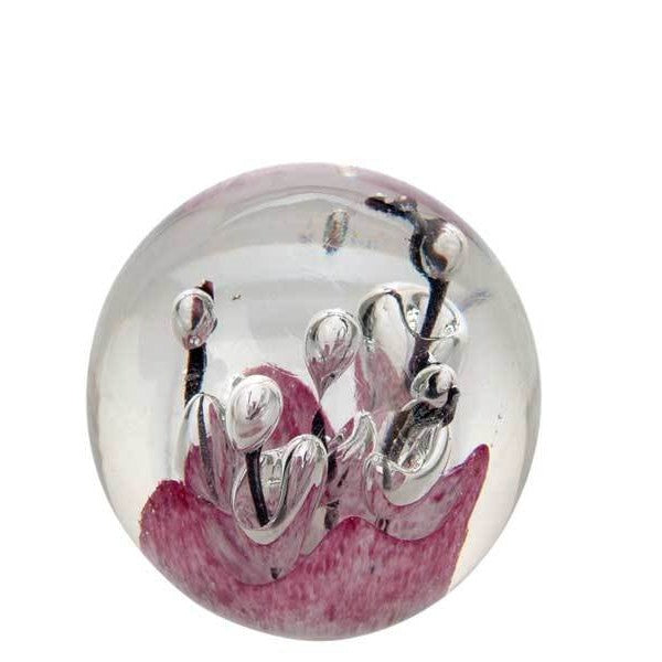 Sulfure en cristal moyen modèle. Base rose avec des touches de noir et de subtiles bulles. 